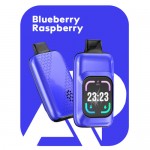 Blueberry Raspberry 