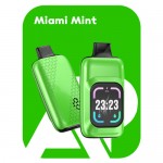 Miami Mint 